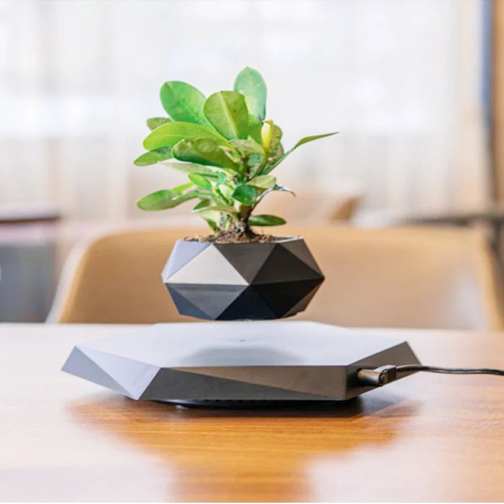 LEVITATING PLANT HOLDER