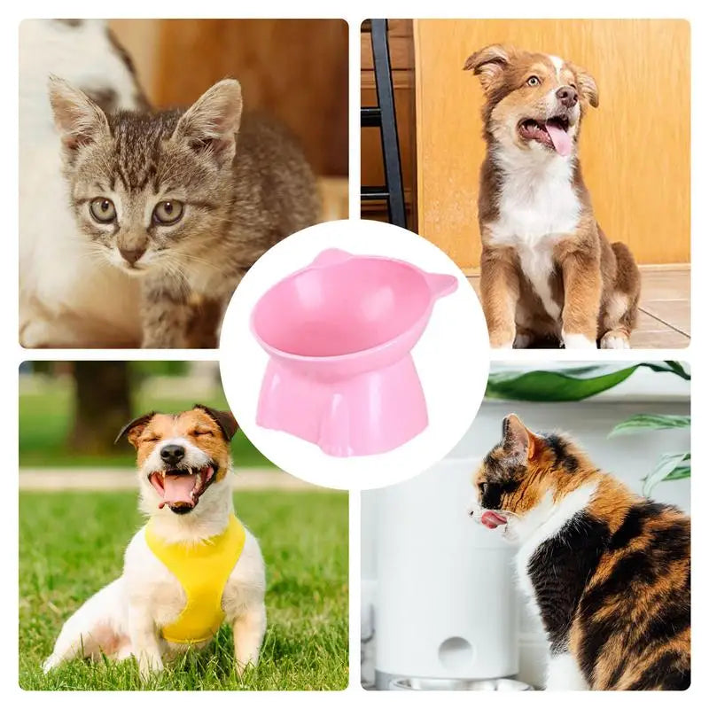 CAT SHAPED BOWL