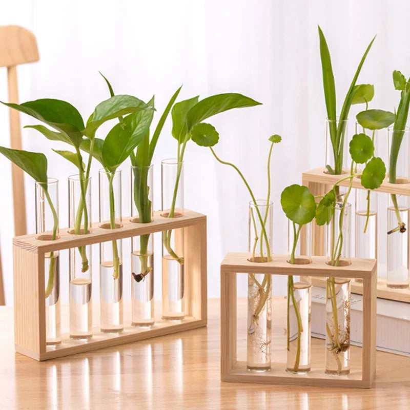WOODEN PROPAGATION STATION