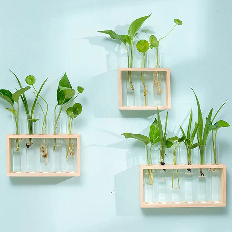 WOODEN PROPAGATION STATION