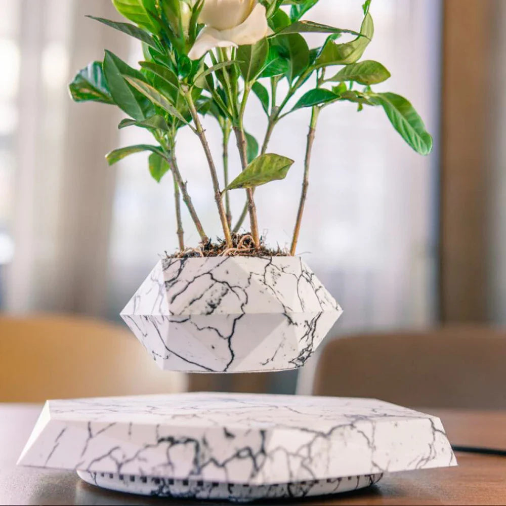 LEVITATING PLANT HOLDER