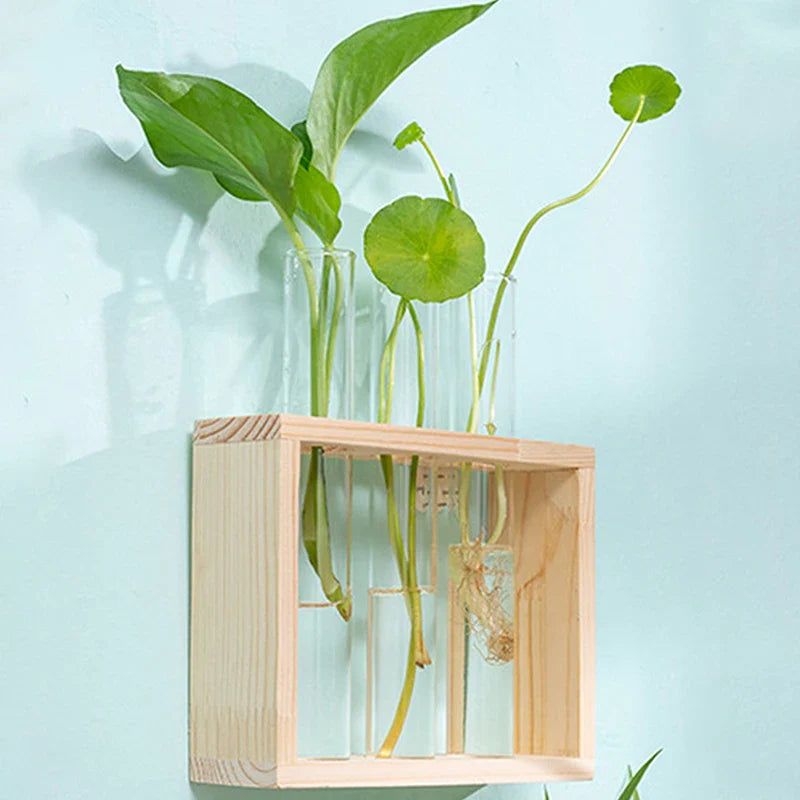 WOODEN PROPAGATION STATION