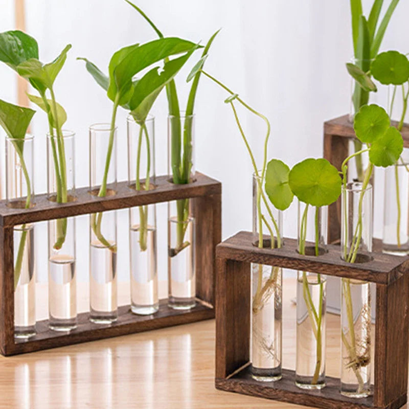 WOODEN PROPAGATION STATION